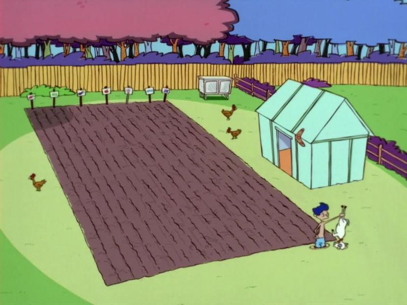 A FINE BED FOR ROLF'S SEEDS, YES, VICTOR?