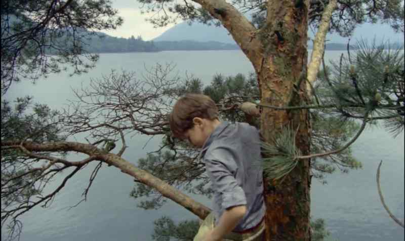 A fine place for a lookout