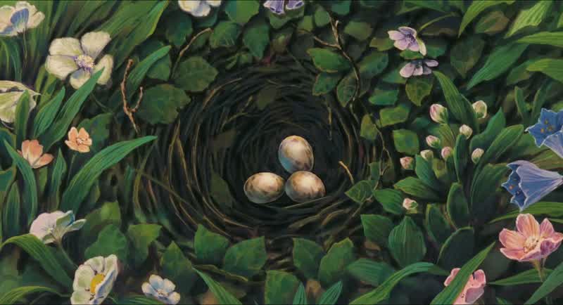 Α flycatcher's nest!