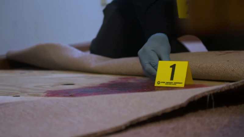 A FORENSICS TEAM TREATS THE ENTIRE AREA WITH LUMINOL