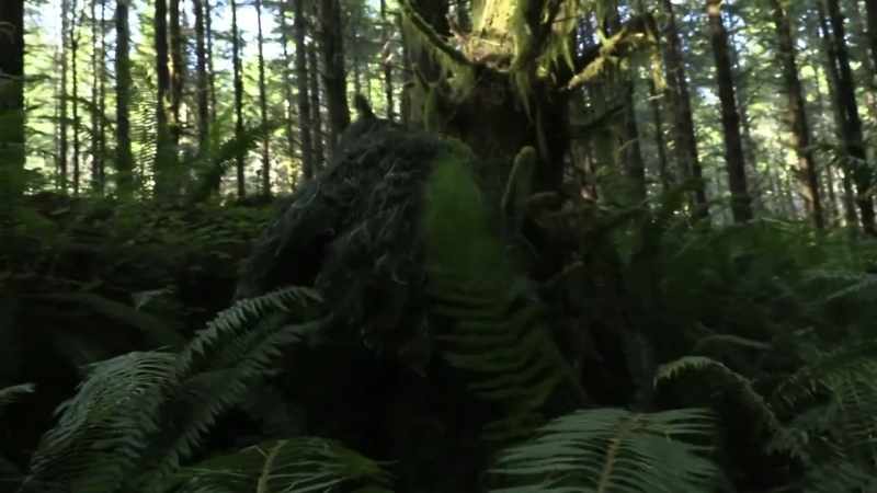 A ghillie suit will help yo