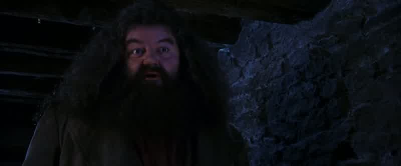 A great Muggle like youis going to stop him?