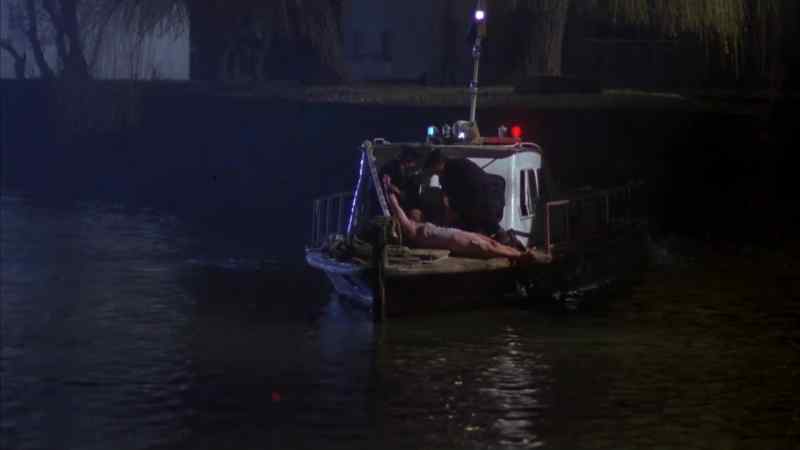 A great sadness washed over Elena