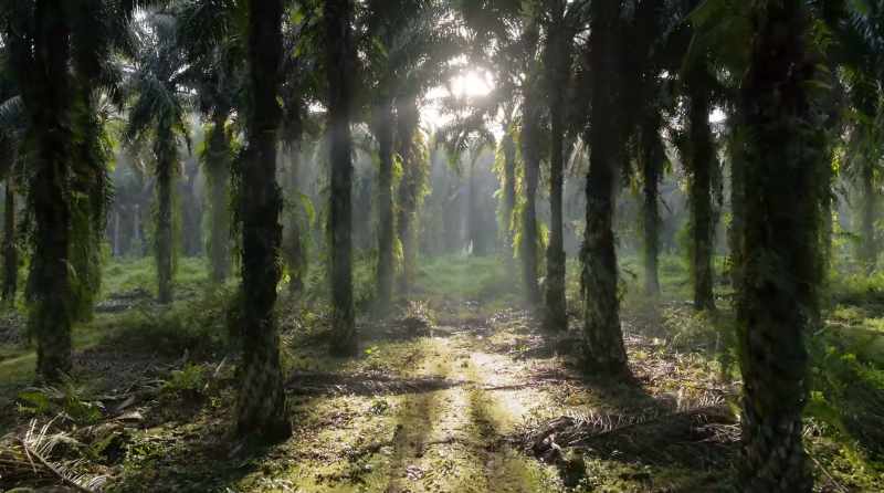 A habitat that is dead in comparison