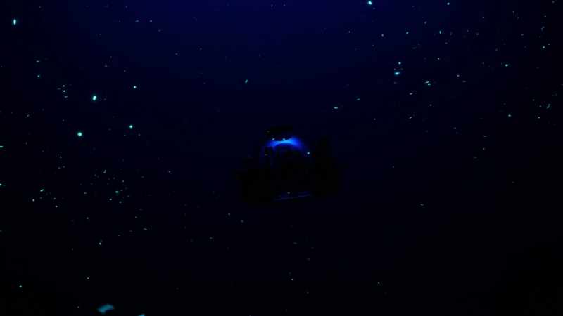 A hidden world you can only see in total darkness