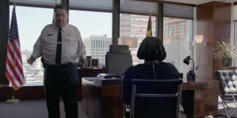 A housecat behind some desk?