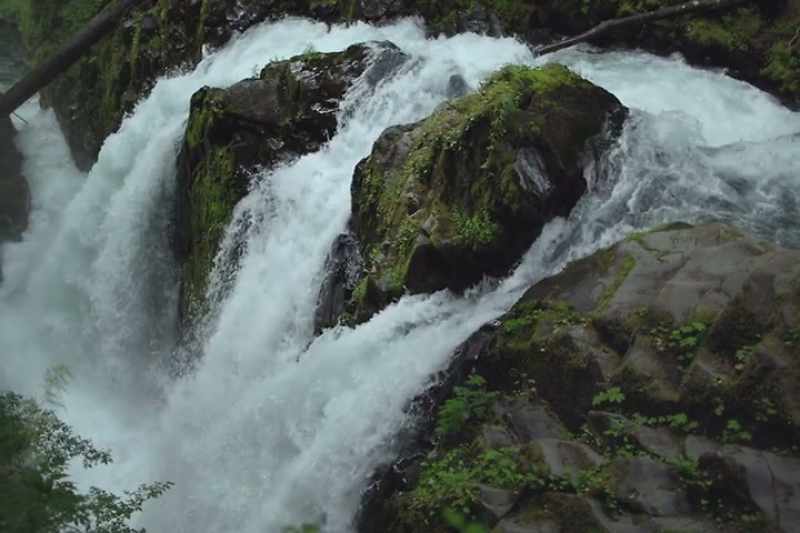A huge river system will have huge salmon