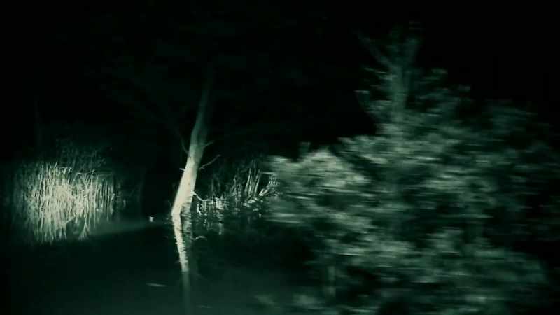 A KILLER CROC COULD BE STARING ME IN THE FACE RIGHT NOW