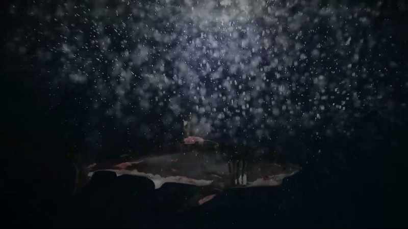 A large shark approached, and was filled with blood lust