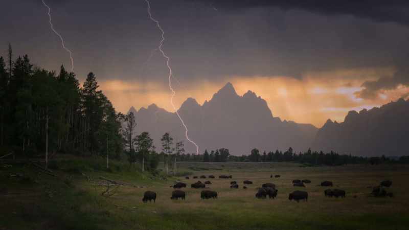 A lightning strike could have walked away with 10%