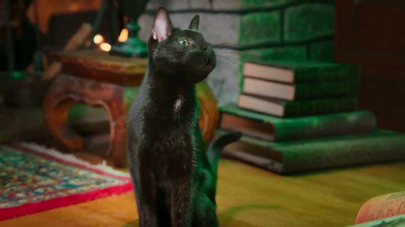 A little rhyme to charm with style Keep those feline forms a while