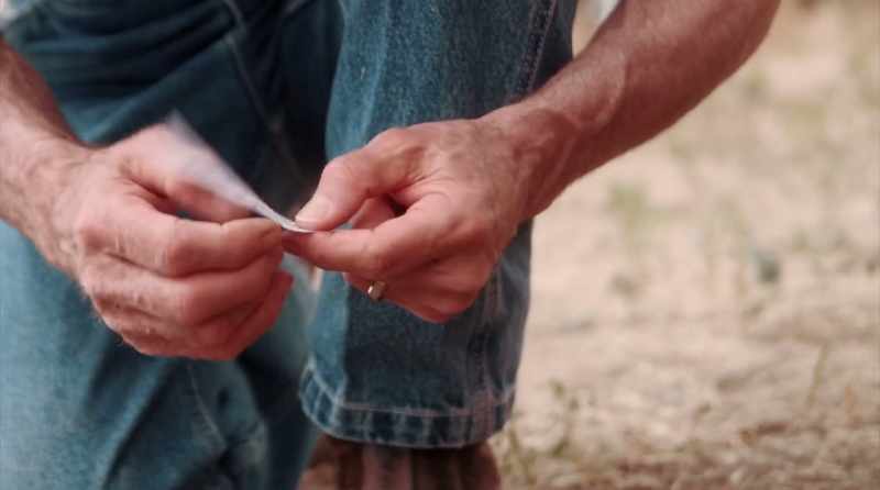A long time ago, God planted the Word