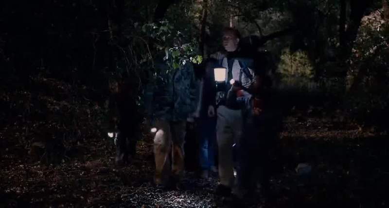 A lot of people don't realize that bushes