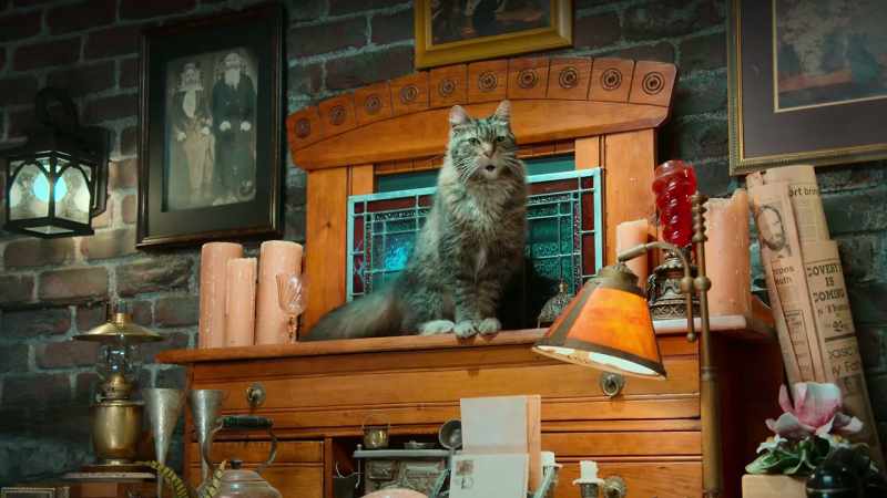 A magic shop shopkeeper is never off duty!