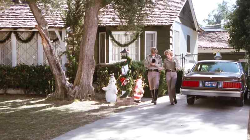 A man and a woman, blue dodge van