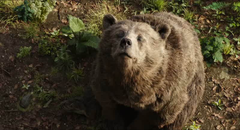 A man cub Yeah Could you keep your voice downI'm trying to concentrate