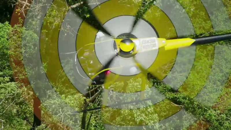 A marksman with great skill can shoot the Miconia