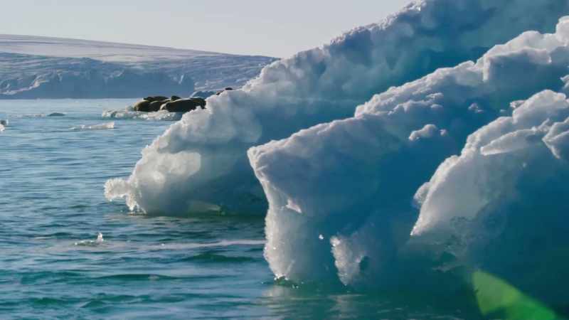 A melting iceberg might do