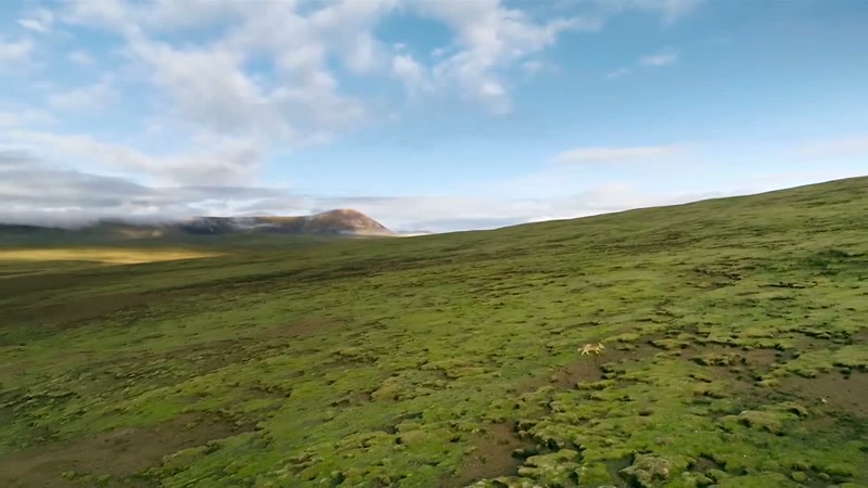 'A mere 2.5 million years