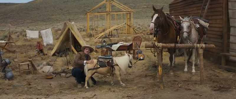 A miniature horse. Name's Butterscotch