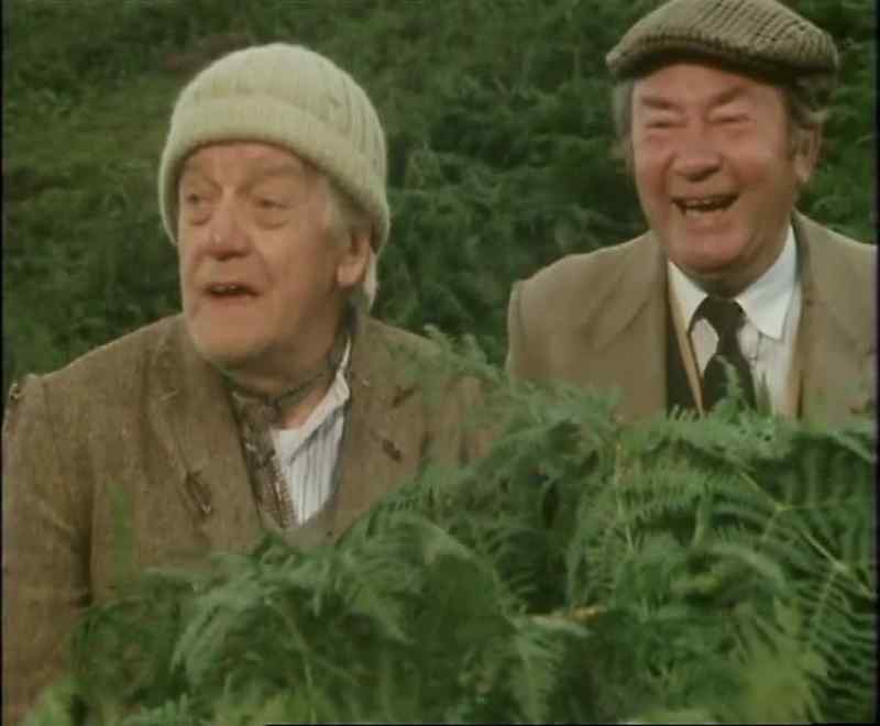 A moving bush