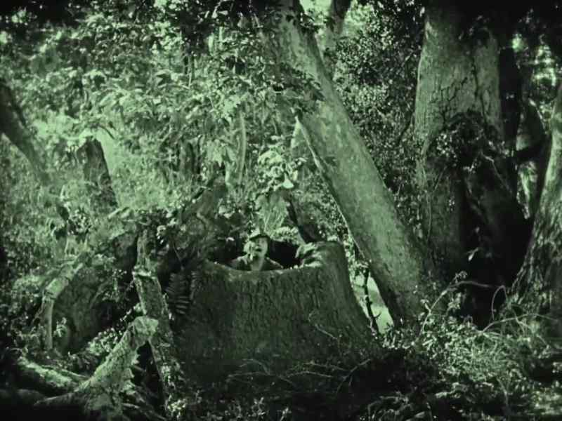 A mysterious stranger invades Sherwood Forest