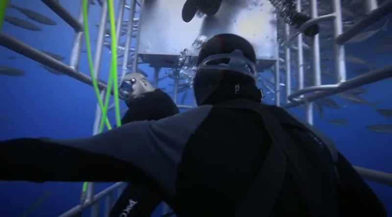 A nervous diver could send out an even bigger signal
