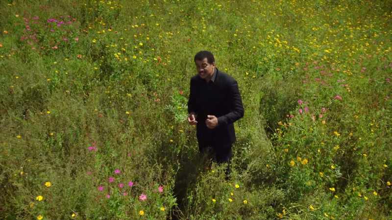A new plant arose that produced sugary nectar in
