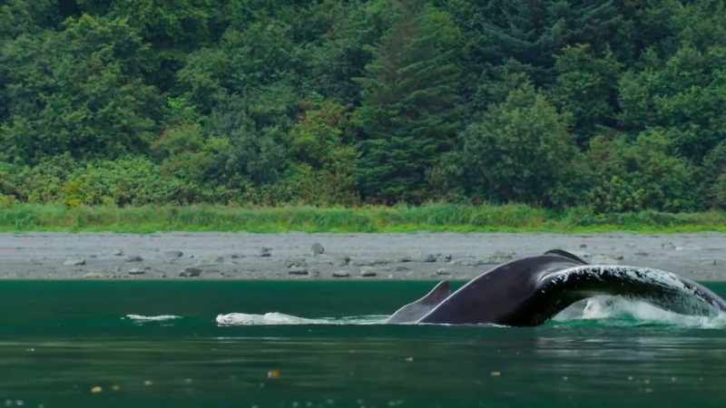 A new quiet beneath the waves offers an opportunity