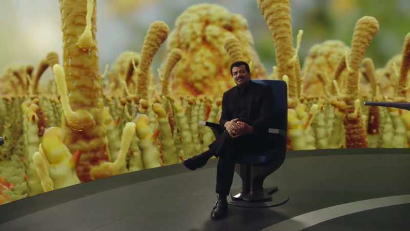 A partnership lasting more than a 100 million years