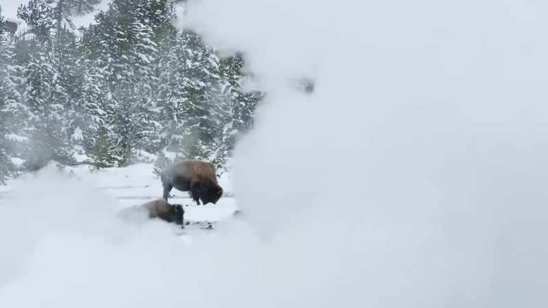 A place where the heat from yellowstone's core