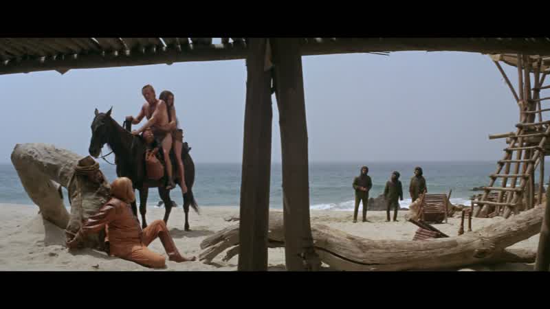 A planet where apes evolved from menThere's gotta be an answerDon't look for it TaylorYou may not like what you find