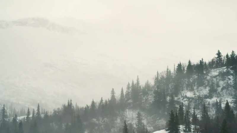 A pretty tough winter
