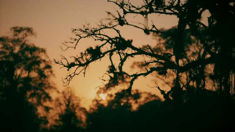 a-rancher-who-had-three-encounters-with-the-beast