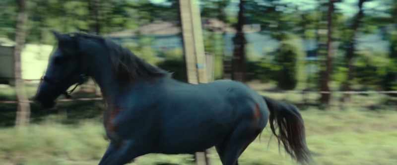 A real massacre. Horseacre, I should say