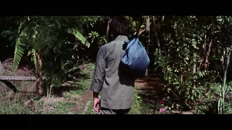 A recluse preparing to return in 1983
