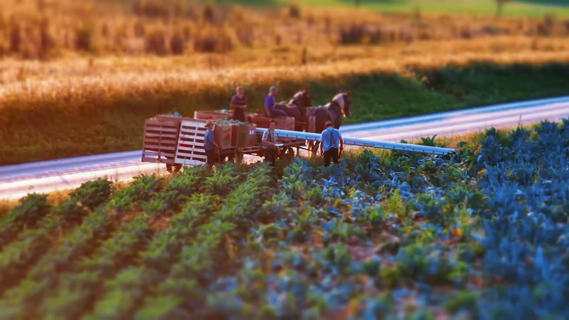 A rural lifestyle is very much