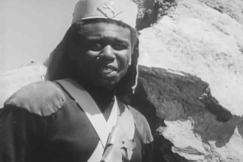 A Shenzi gun, Bwana McCoober