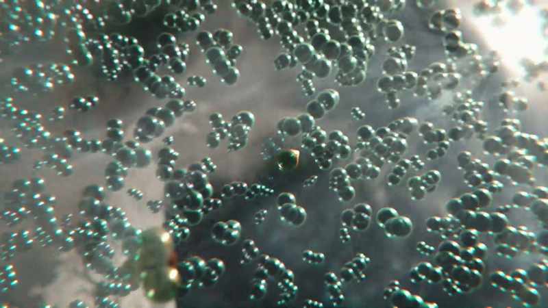A single chlorine atom can destroy 100,000 ozone molecules