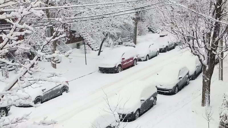 A snowstorm hits a town so hard