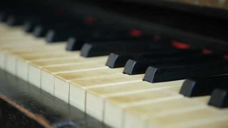 A song develops, it's joyful and happy