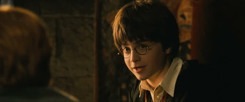 A sorry lot, this, Hagrid
