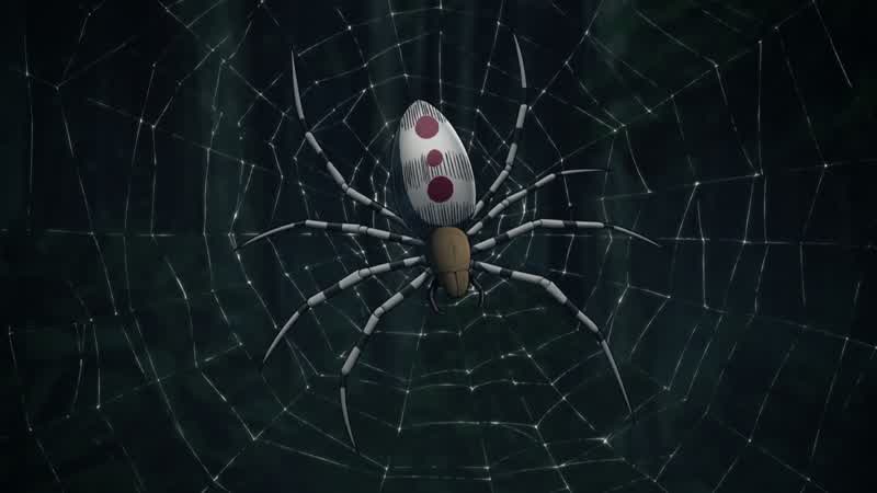 A spider web?