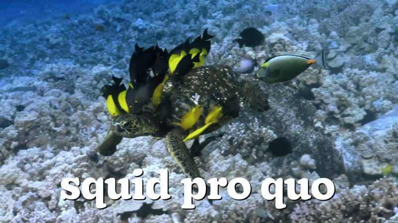 A squid pro quo, if you will