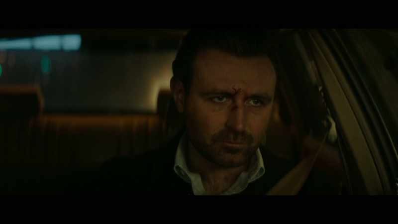 A stray bird can get sucked into a jet engine