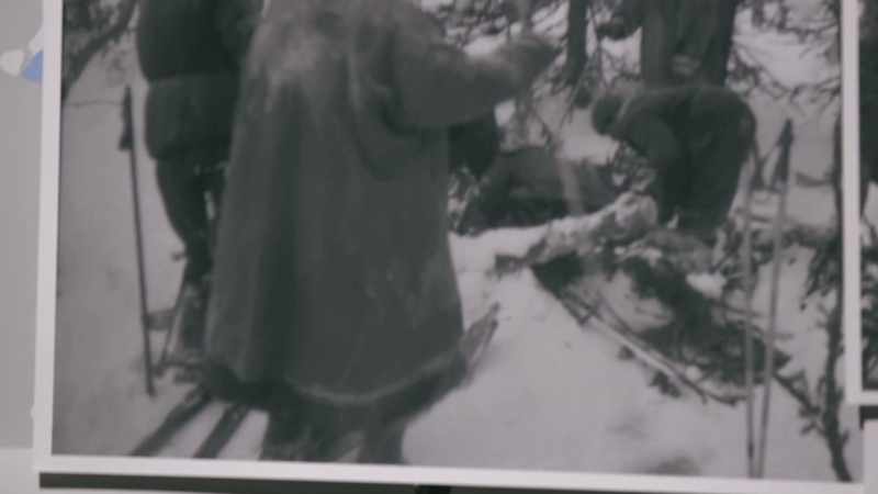 A strip of dark material found at the cedar tree