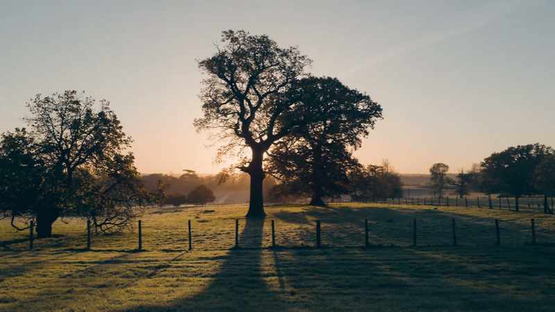 A sunrise is a new beginning…