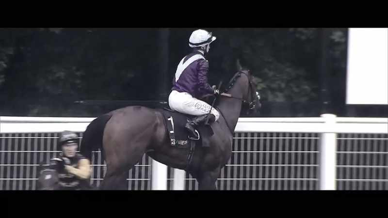 A terrific week here for the winning trainer