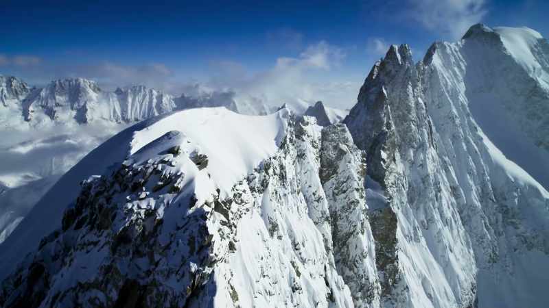 A testing time for the Alps' greatest aerial predator