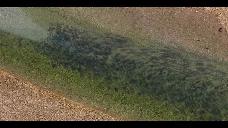 A threshold beyond which Arctic char cannot survive